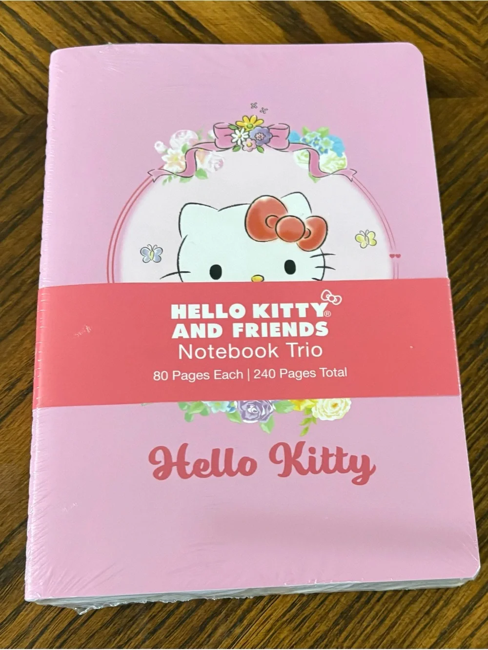 Sanrio Hello Kitty and Friends Notebook Trio - Three Notebooks - NEW